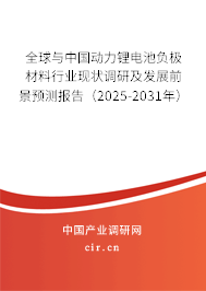 全球與中國動力鋰電池負極材料行業(yè)現(xiàn)狀調(diào)研及發(fā)展前景預測報告（2025-2031年）