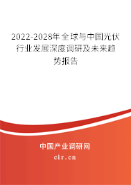 2022-2028年全球與中國光伏行業(yè)發(fā)展深度調(diào)研及未來趨勢(shì)報(bào)告