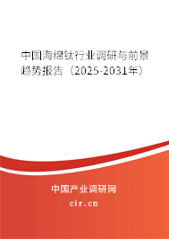 中國海綿鈦行業(yè)調(diào)研與前景趨勢報(bào)告（2025-2031年）