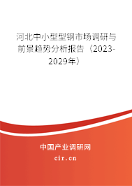河北中小型型鋼市場(chǎng)調(diào)研與前景趨勢(shì)分析報(bào)告（2023-2029年）