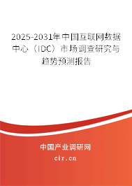2025-2031年中國互聯(lián)網(wǎng)數(shù)據(jù)中心（IDC）市場調(diào)查研究與趨勢預(yù)測報告
