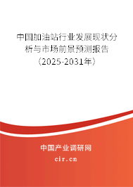 中國加油站行業(yè)發(fā)展現(xiàn)狀分析與市場前景預測報告（2025-2031年）
