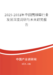 2025-2031年中國苦膽草行業(yè)發(fā)展深度調(diào)研與未來趨勢報(bào)告