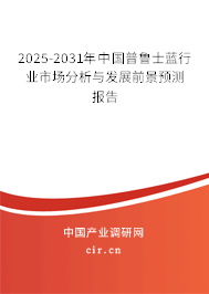 2025-2031年中國普魯士藍行業(yè)市場分析與發(fā)展前景預測報告