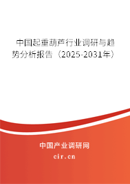 中國(guó)起重葫蘆行業(yè)調(diào)研與趨勢(shì)分析報(bào)告(2025-2031年) 中國(guó)起重葫蘆行業(yè)調(diào)研與趨勢(shì)分析報(bào)告(2025-2031年)