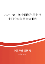2025-2031年中國燃?xì)夥?wù)行業(yè)研究與前景趨勢報告 2025-2031年中國燃?xì)夥?wù)行業(yè)研究與前景趨勢報告