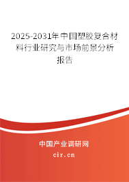 2025-2031年中國(guó)塑膠復(fù)合材料行業(yè)研究與市場(chǎng)前景分析報(bào)告