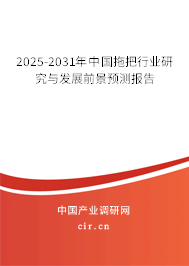 2025-2031年中國拖把行業(yè)研究與發(fā)展前景預測報告