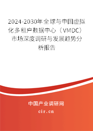 2024-2030年全球與中國(guó)虛擬化多租戶數(shù)據(jù)中心（VMDC）市場(chǎng)深度調(diào)研與發(fā)展趨勢(shì)分析報(bào)告