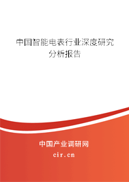 中國智能電表行業(yè)深度研究分析報告