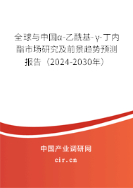 全球與中國α-乙?；?γ-丁內(nèi)酯市場研究及前景趨勢預(yù)測報(bào)告（2024-2030年）
