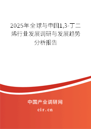 2025年全球與中國1,3-丁二烯行業(yè)發(fā)展調(diào)研與發(fā)展趨勢分析報告