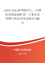 2009-2012年中國TPU(熱塑性聚氨酯彈性體)行業(yè)投資策略分析及競爭戰(zhàn)略咨詢報告 2009-2012年中國TPU(熱塑性聚氨酯彈性體)行業(yè)投資策略分析及競爭戰(zhàn)略咨詢報告