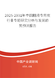 2025-2031年中國糖液專用炭行業(yè)專題研究分析與發(fā)展趨勢預(yù)測報(bào)告