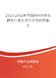 2025-2031年中國(guó)40KW充電模塊行業(yè)現(xiàn)狀與前景趨勢(shì)報(bào)告 2025-2031年中國(guó)40KW充電模塊行業(yè)現(xiàn)狀與前景趨勢(shì)報(bào)告
