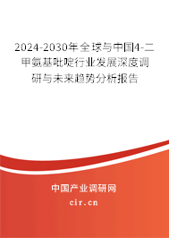 2024-2030年全球與中國4-二甲氨基吡啶行業(yè)發(fā)展深度調(diào)研與未來趨勢分析報告