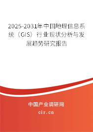 2025-2031年中國地理信息系統(tǒng)（GIS）行業(yè)現(xiàn)狀分析與發(fā)展趨勢研究報告