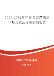 2025-2031年中國(guó)集裝箱物流市場(chǎng)現(xiàn)狀及發(fā)展趨勢(shì)報(bào)告