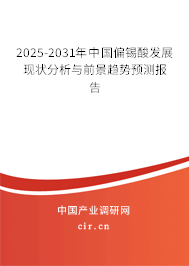 2025-2031年中國偏錫酸發(fā)展現狀分析與前景趨勢預測報告