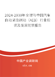2024-2030年全球與中國汽車自動(dòng)緊急制動(dòng)（AEB）行業(yè)現(xiàn)狀及發(fā)展前景報(bào)告