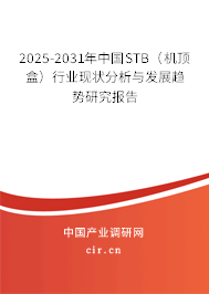 2025-2031年中國STB（機頂盒）行業(yè)現(xiàn)狀分析與發(fā)展趨勢研究報告