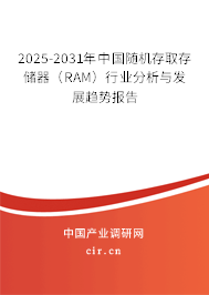 2025-2031年中國(guó)隨機(jī)存取存儲(chǔ)器（RAM）行業(yè)分析與發(fā)展趨勢(shì)報(bào)告
