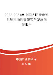 2025-2031年中國(guó)太陽(yáng)能電池系統(tǒng)市場(chǎng)調(diào)查研究與發(fā)展前景報(bào)告