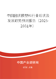 中國團(tuán)狀模塑料行業(yè)現(xiàn)狀及發(fā)展趨勢(shì)預(yù)測(cè)報(bào)告（2025-2031年）
