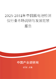2025-2031年中國蓄電池檢測(cè)儀行業(yè)市場調(diào)研與發(fā)展前景報(bào)告