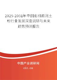 2025-2031年中國有機膨潤土粉行業(yè)發(fā)展深度調(diào)研與未來趨勢預(yù)測報告