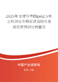 2025年全球與中國pm2.5粉塵檢測(cè)儀市場(chǎng)現(xiàn)狀調(diào)研與發(fā)展前景預(yù)測(cè)分析報(bào)告
