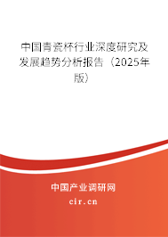中國青瓷杯行業(yè)深度研究及發(fā)展趨勢分析報告（2025年版）