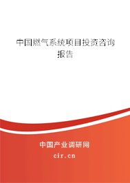 中國燃氣系統(tǒng)項目投資咨詢報告