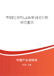 中國勻泡劑L108項目可行性研究報告