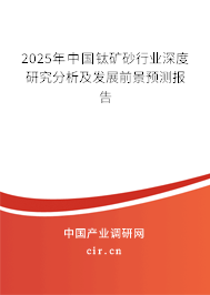 2025年中國(guó)鈦礦砂行業(yè)深度研究分析及發(fā)展前景預(yù)測(cè)報(bào)告
