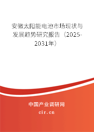 安徽太陽(yáng)能電池市場(chǎng)現(xiàn)狀與發(fā)展趨勢(shì)研究報(bào)告（2025-2031年）
