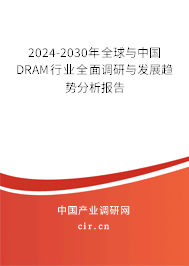 2024-2030年全球與中國(guó)DRAM行業(yè)全面調(diào)研與發(fā)展趨勢(shì)分析報(bào)告 2024-2030年全球與中國(guó)DRAM行業(yè)全面調(diào)研與發(fā)展趨勢(shì)分析報(bào)告