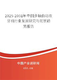 2025-2031年中國多軸自動攻牙機(jī)行業(yè)發(fā)展研究與前景趨勢報告