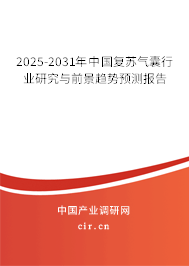 2025-2031年中國(guó)復(fù)蘇氣囊行業(yè)研究與前景趨勢(shì)預(yù)測(cè)報(bào)告