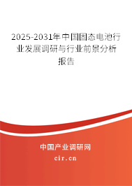 2025-2031年中國(guó)固態(tài)電池行業(yè)發(fā)展調(diào)研與行業(yè)前景分析報(bào)告