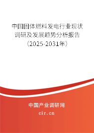 中國固體燃料發(fā)電行業(yè)現(xiàn)狀調(diào)研及發(fā)展趨勢分析報告（2025-2031年）
