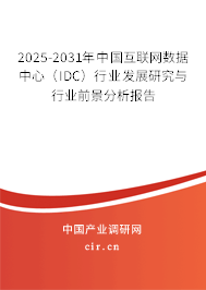 2025-2031年中國互聯(lián)網(wǎng)數(shù)據(jù)中心（IDC）行業(yè)發(fā)展研究與行業(yè)前景分析報告