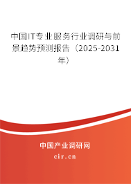 中國(guó)IT專(zhuān)業(yè)服務(wù)行業(yè)調(diào)研與前景趨勢(shì)預(yù)測(cè)報(bào)告（2025-2031年）