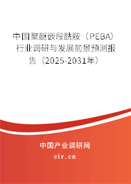 中國(guó)聚醚嵌段酰胺（PEBA）行業(yè)調(diào)研與發(fā)展前景預(yù)測(cè)報(bào)告（2025-2031年）