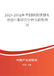 2025-2031年中國磷酸鐵鋰電池組行業(yè)研究分析與趨勢(shì)預(yù)測(cè)