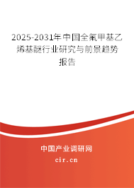 2025-2031年中國全氟甲基乙烯基醚行業(yè)研究與前景趨勢(shì)報(bào)告