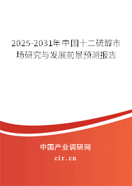2025-2031年中國十二硫醇市場研究與發(fā)展前景預測報告