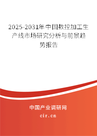 2025-2031年中國數(shù)控加工生產(chǎn)線市場研究分析與前景趨勢報(bào)告