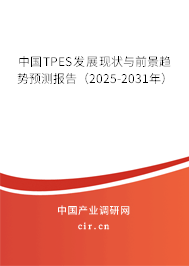 中國TPES發(fā)展現(xiàn)狀與前景趨勢預測報告（2025-2031年）