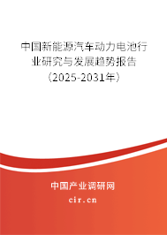 中國新能源汽車動力電池行業(yè)研究與發(fā)展趨勢報(bào)告（2025-2031年）